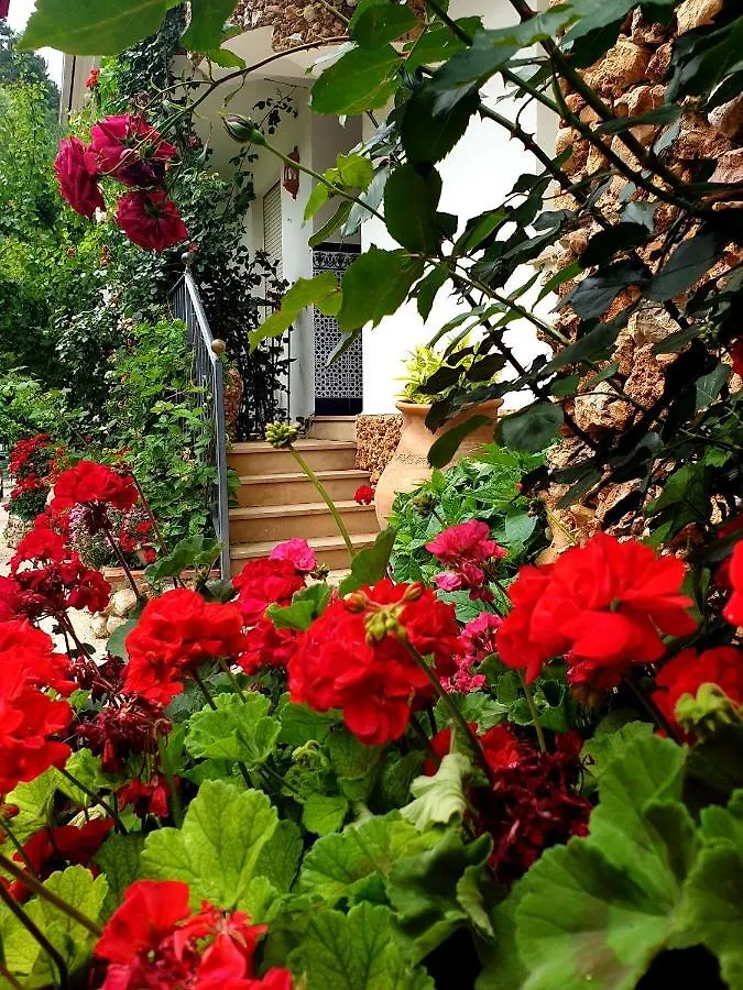 Apartamentos El Parral Arroyo Frio 0*,  Spagna
